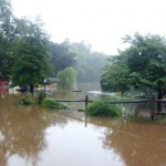 Flooded backyard near Goldsboro railroad underpass.