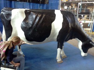 Farm Show, Cow, Milk