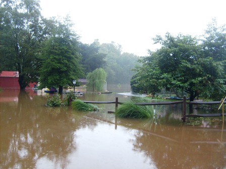 Flooded backyard near Goldsboro railroad underpass.