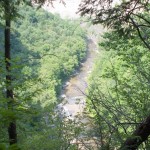 Hiking, River, Trees, Overlook, Nature