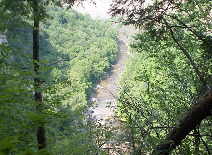 Hiking, River, Trees, Overlook, Nature